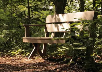 a wooden bench sitting in the middle of a forest at The Inn at Honey Run Millersburg in Millersburg