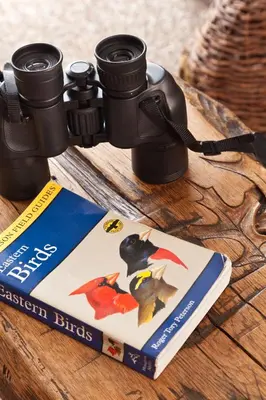a camera and a book on a table at The Inn at Honey Run Millersburg in Millersburg