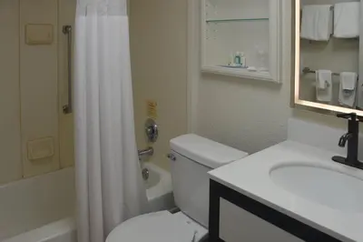 a bathroom with a toilet and a sink and a shower at Quality Inn Perrysburg - Toledo South in Perrysburg
