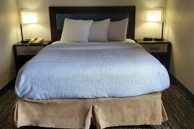 a large bed in a hotel room with two lamps at Wingate by Wyndham Canton-Hall of Fame in Canton