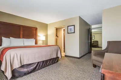 a hotel room with a bed and a chair at Comfort Inn & Suites Lexington - Hamburg I-75 in Lexington