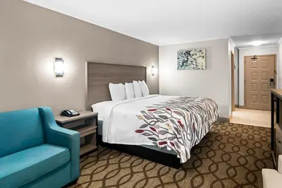 a hotel room with a bed and a blue chair at Red Roof Inn & Suites Lexington - Hamburg in Lexington