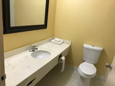 a bathroom with a sink and a toilet and a mirror at Economy Inn in Fort Wayne
