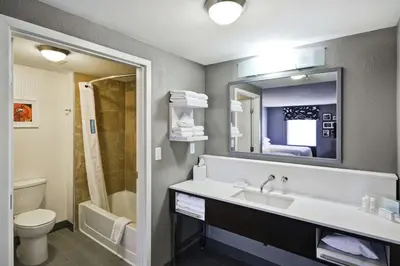 a bathroom with a sink and a toilet and a mirror at Hampton Inn & Suites Columbus-Easton Area in Columbus