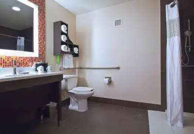 a bathroom with a toilet and a sink and a mirror at Hampton Inn & Suites Columbus-Downtown, Ohio in Columbus