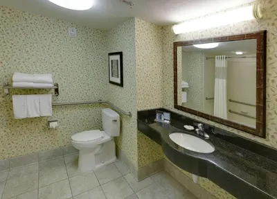 a bathroom with a toilet and a sink and a mirror at Hampton Inn & Suites Columbus Polaris in Columbus