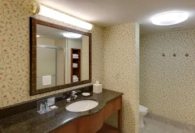a bathroom with a sink and a mirror and a toilet at Hampton Inn & Suites Columbus Polaris in Columbus