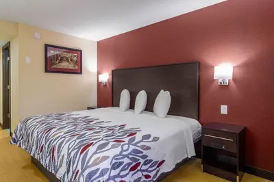 a hotel room with a large bed and a red wall at Red Roof Inn Perrysburg in Perrysburg