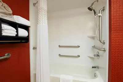 a bathroom with a shower and a sink and a tub at Hampton Inn Columbus-International Airport in Gahanna