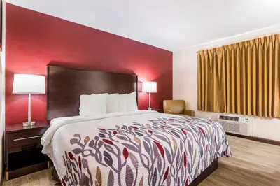 a hotel room with a bed and a red wall at Red Roof Inn Dry Ridge in Dry Ridge