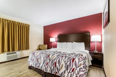 a hotel room with a bed and a red wall at Red Roof Inn Dry Ridge in Dry Ridge