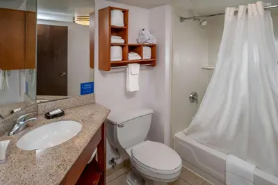 a bathroom with a toilet and a sink and a shower at Hampton Inn Charleston Downtown in Charleston