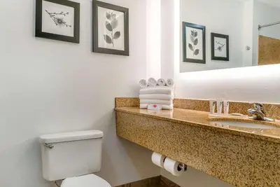 a bathroom with a toilet and a sink and a mirror at Country Inn & Suites by Radisson, Rossford - Toledo South in Rossford