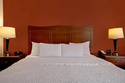 a bedroom with a bed with white pillows and two lamps at Hampton Inn Fort Wayne-Southwest in Fort Wayne