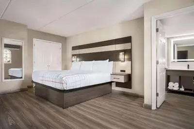 a large bedroom with a bed and a fireplace at La Quinta Inn Lexington-Horse Park in Lexington