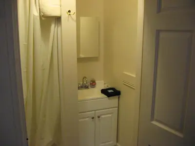 a bathroom with a sink and a shower curtain at Bayberry House Bed and Breakfast in Steubenville