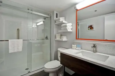 a bathroom with a shower and a toilet and a sink at Hampton Inn Lexington I-75 in Lexington