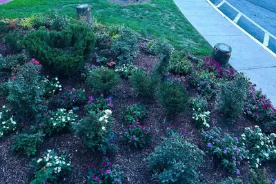 a garden with flowers and plants on a sidewalk at Baymont Inn and Suites by Wyndham Columbus / Near OSU in Columbus
