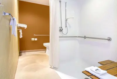 a bathroom with a shower and a toilet at Microtel Inn & Suites by Wyndham Mason in Mason