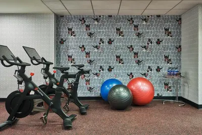 a gym with exercise bikes and exercise balls at Graduate by Hilton Cincinnati in Cincinnati