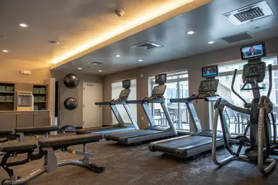 a gym with treadmills and elliptical machines at Residence Inn by Marriott Toledo West in Toledo