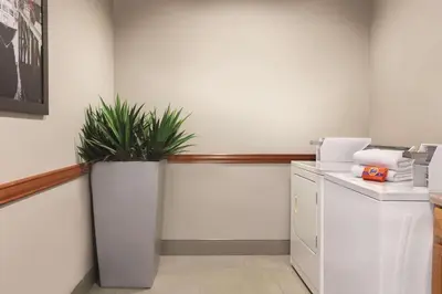 a washing machine in a room with a plant at Country Inn & Suites by Radisson, Port Clinton, OH in Port Clinton