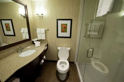 a bathroom with a toilet and a sink and a mirror at Hilton Garden Inn Dayton South - Austin Landing in Springboro