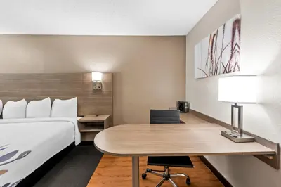 a hotel room with a bed and a desk at Red Roof Inn Columbus West - Hilliard in New Rome