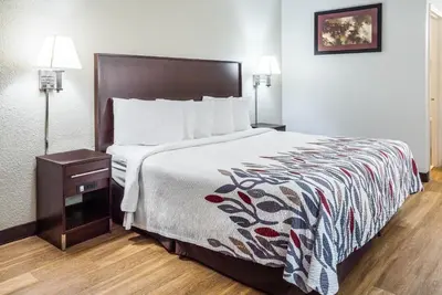 a hotel room with a large bed and a night stand at Red Roof Inn Clyde in Clyde
