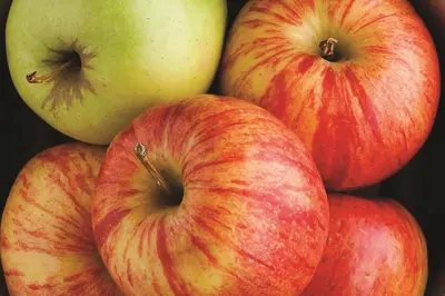 a pile of apples and a green apple at La Quinta by Wyndham Cleveland Macedonia in Macedonia