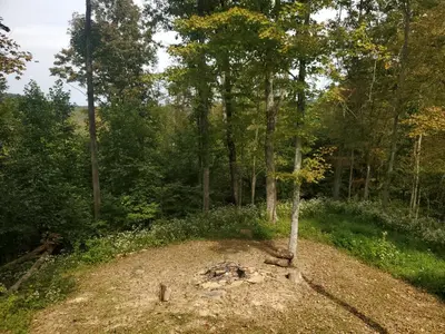 a tree in the middle of a dirt field at The Hampton - An Amish Built Deluxe Log Cabin in Genoa