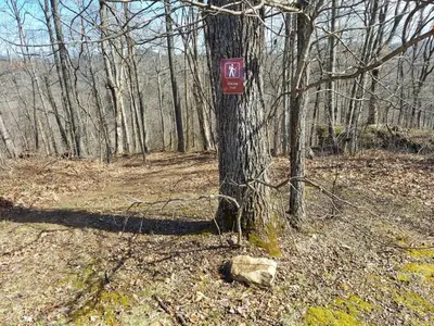 a red sign on a tree in the woods at The Sandstone - A 3BR, 2BA Deluxe Log Cabin in Genoa