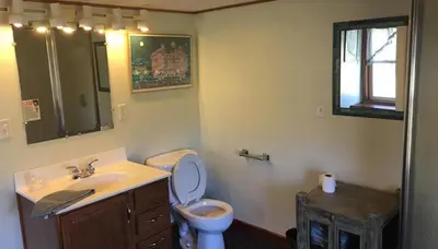 a bathroom with a toilet and a sink at The Lodge - Chestnut Log Cabin in Genoa