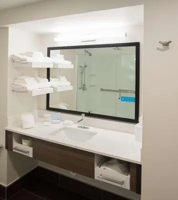 a bathroom with a sink and a large mirror at Hampton Inn Wooster in Wooster