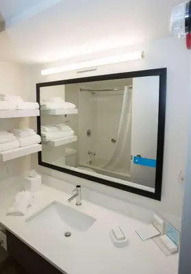 a bathroom with a sink and a large mirror at Hampton Inn Wooster in Wooster