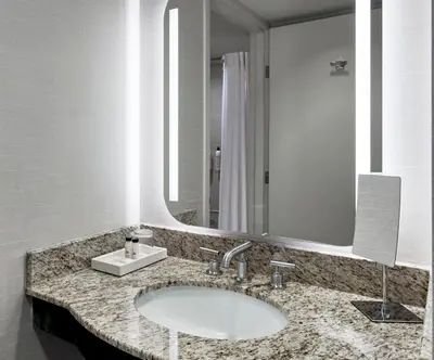 a bathroom with a sink and a large mirror at Delta Hotels by Marriott Toledo in Toledo