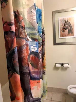 a shower curtain in a bathroom with a horse painting at Cedar Stables Inn & Suites in Sandusky