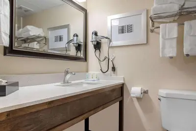 a bathroom with a sink and a mirror and a toilet at Quality Inn and Conference Center in Richmond