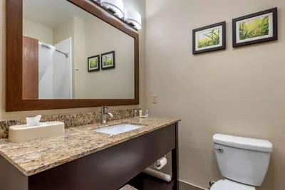 a bathroom with a sink and a mirror and a toilet at Comfort Suites Auburn near I-69 in Auburn