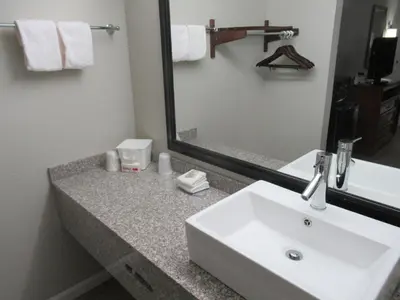 a bathroom with a white sink and a mirror at Red Roof Inn Walton, KY - Richwood - Cincinnati Airport South in Richwood