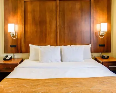 a bedroom with a large white bed with wooden walls at Comfort Suites Georgetown in Georgetown