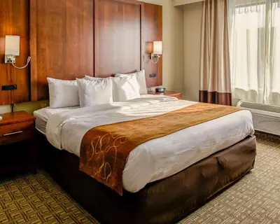 a bedroom with a large bed in a hotel room at Comfort Suites Georgetown in Georgetown