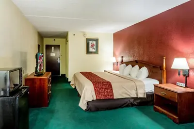 a hotel room with a bed and a flat screen tv at Red Roof Inn Morehead in Morehead