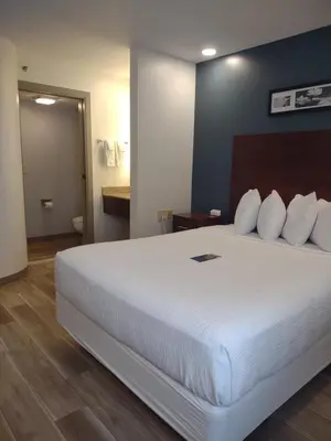 a bedroom with a large white bed with white pillows at Baymont by Wyndham Flat Rock in Flat Rock