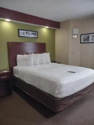 a bedroom with a large bed in a hotel room at Baymont by Wyndham Flat Rock in Flat Rock