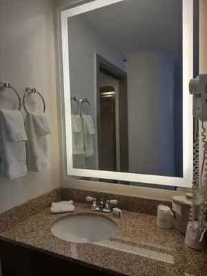 a bathroom with a sink and a large mirror at Baymont by Wyndham Flat Rock in Flat Rock