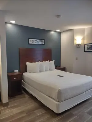 a bedroom with a large bed in a room at Baymont by Wyndham Flat Rock in Flat Rock