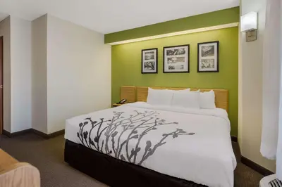 a bed in a room with a green wall at Sleep Inn Bolivar in Bolivar