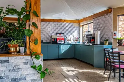 a kitchen with blue cabinets and plants in a room at Econo Lodge Cleveland Southeast - Kent in Streetsboro