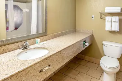 a bathroom with a sink and a toilet at Quality Inn & Suites Seville in Seville